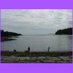 Exploring The Shore.jpg